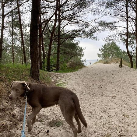 Reet Am Strand Mit Hund Karlshagen Exterior foto