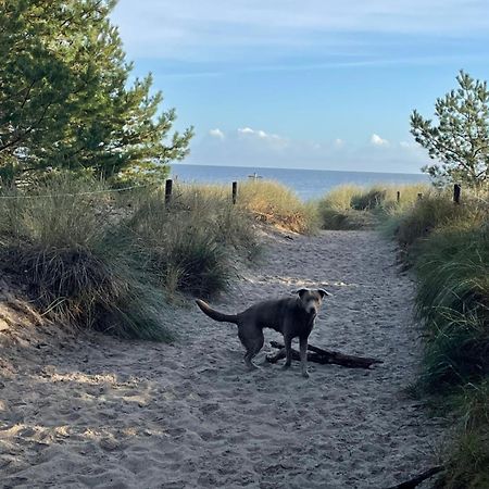 Reet Am Strand Mit Hund Karlshagen Exterior foto